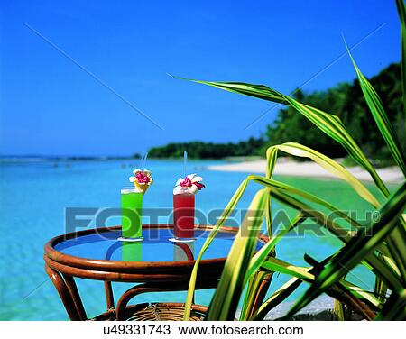 outdoors, tropical, sky, water, sea, leaves View Large Photo Image Stock Image - outdoors, tropical, sky, water, sea, leaves. Fotosearch