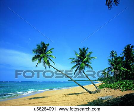 Stock Image - outdoors, tropical, sky, water, sea, beach. Fotosearch