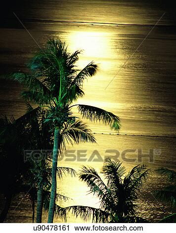 outdoors, tropical, sky, water, sea, reflection View Large Photo Image Stock Image - outdoors, tropical, sky, water, sea, reflection. Fotosearch
