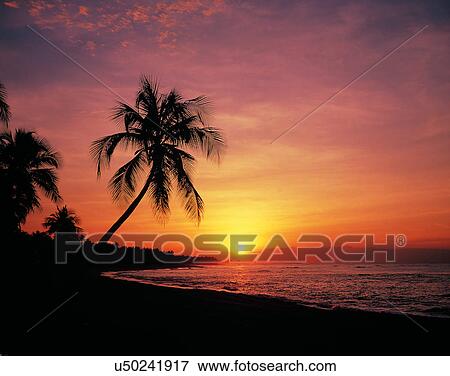 Stock Photo - outdoors, tropical, sky, water, sea, beach sunset. Fotosearch