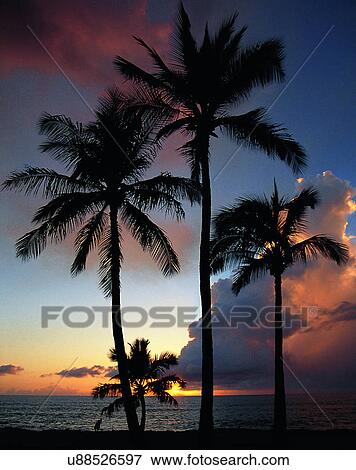 outdoors, tropical, sky, water, sea, clouds View Large Photo Image Stock Photo - outdoors, tropical, sky, water, sea, clouds. Fotosearch
