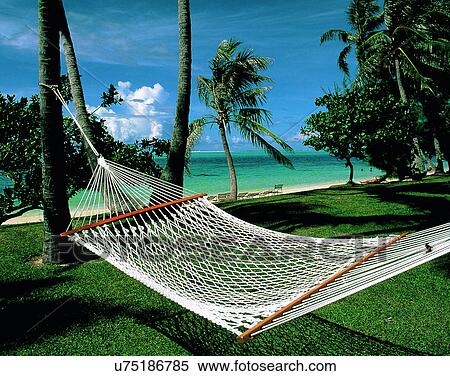 outdoors, tropical, sky, water, sea, hammock View Large Photo Image Stock Photography - outdoors, tropical, sky, water, sea, hammock. Fotosearch
