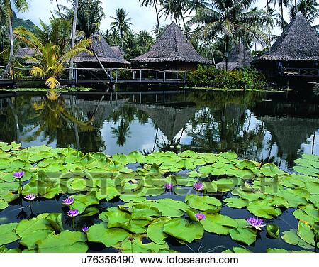 Pacific Ocean, islands, scenery, outdoors, sky, water View Large Photo Image Stock Image - Pacific Ocean, islands, scenery, outdoors, sky, water. Fotosearch