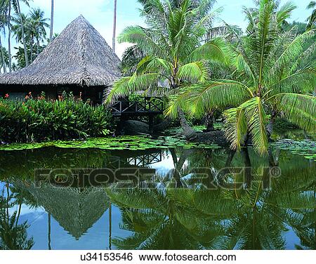 Stock Photograph - Pacific Ocean, islands, scenery, outdoors, sky, water. Fotosearch