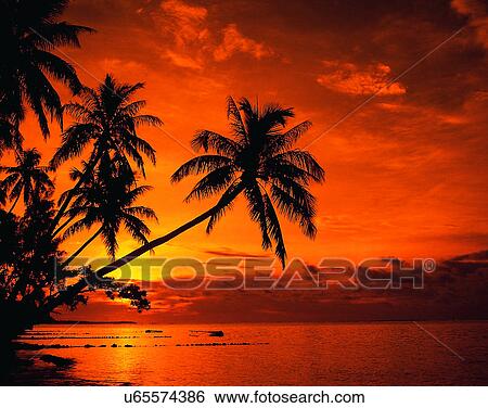 Pacific Ocean, islands, scenery, outdoors, sky, water View Large Photo Image Stock Photograph - Pacific Ocean, islands, scenery, outdoors, sky, water. Fotosearch