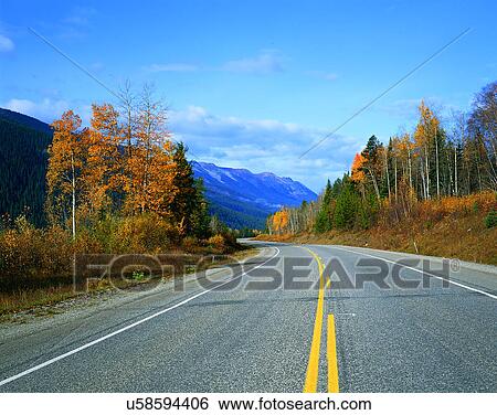Stock Photograph - road, outdoor, trees, sky, light, grass. Fotosearch