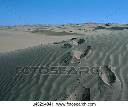 sand, outdoors, desert, dry, footprints, tracks View Large Photo Image Stock Image - sand, outdoors, desert, dry, footprints, tracks. Fotosearch