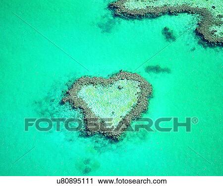 scenery, Australia, water, island, aerial view, sea View Large Photo Image Stock Image - scenery, Australia, water, island, aerial view, sea. Fotosearch