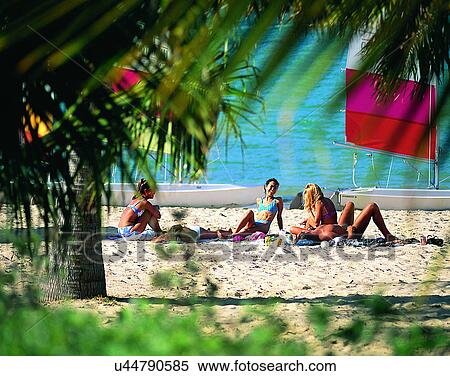 Stock Photography - scenery, Australia, water, trees, beach, sand. Fotosearch