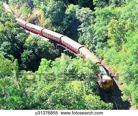 scenery, outdoors, trees, bridge, train, Australia View Large Photo Image Stock Photography - scenery, outdoors, trees, bridge, train, Australia. Fotosearch