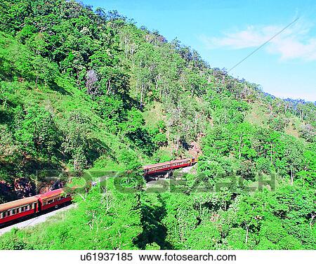 scenery, outdoors, trees, mountain, train, Australia View Large Photo Image Stock Photography - scenery, outdoors, trees, mountain, train, Australia. Fotosearch
