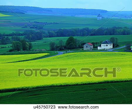 Stock Image - scenery, spring, nature, outdoors, flowers, fields. Fotosearch