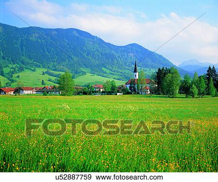 Stock Photo - scenery, spring, nature, outdoors, flowers, fields. Fotosearch