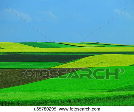 scenery, spring, nature, outdoors, flowers, fields View Large Photo Image Stock Photography - scenery, spring, nature, outdoors, flowers, fields. Fotosearch