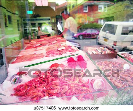 shrimp, outdoors, window, market, city, Australia View Large Photo Image Stock Photograph - shrimp, outdoors, window, market, city, Australia. Fotosearch