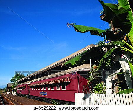 sky, outdoors, trees, fence, train station, Australia View Large Photo Image Stock Image - sky, outdoors, trees, fence, train station, Australia. Fotosearch