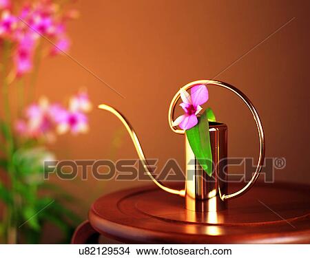 Picture - soft light, indoor, background, flowers, vase, container. Fotosearch