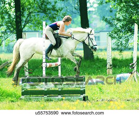 sport, outdoors, equestrian, horse riding, horse, person View Large Photo Image Stock Image - sport, outdoors, equestrian, horse riding, horse, person. Fotosearch