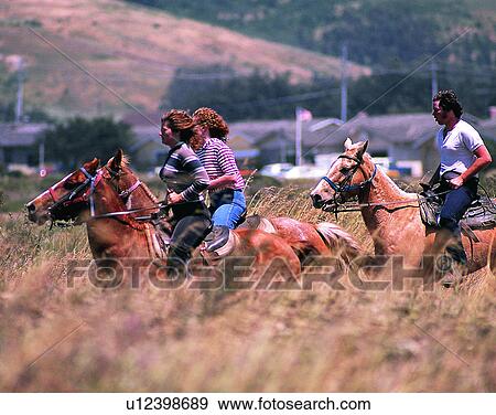 Stock Photo - sport, outdoors, horse riding, horses, people, fields. Fotosearch