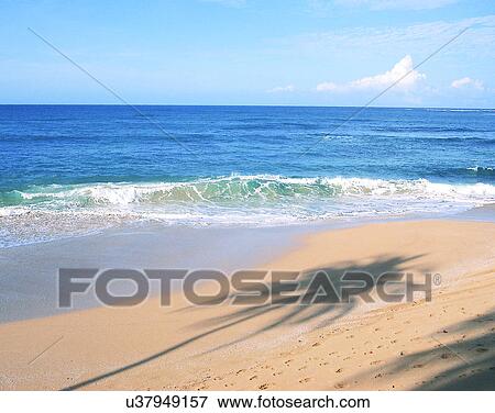 Stock Photo - summer, outdoors, sky, beach, water, trees. Fotosearch