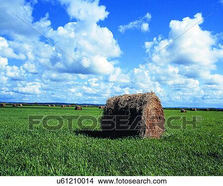 summer, outdoors, sky, countrside, fields, farm View Large Photo Image Picture - summer, outdoors, sky, countrside, fields, farm. Fotosearch