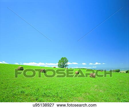 Stock Photo - summer, outdoors, sky, countrside, fields, farm. Fotosearch