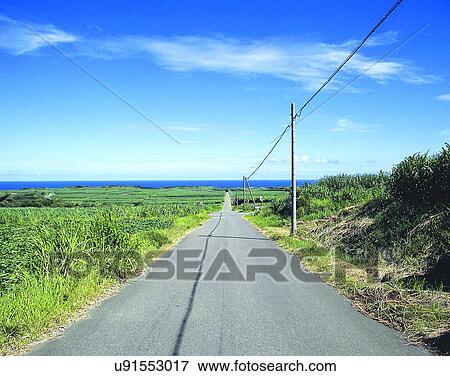 summer, outdoors, sky, countryside, road, telephone poles View Large Photo Image Stock Photo - summer, outdoors, sky, countryside, road, telephone poles. Fotosearch