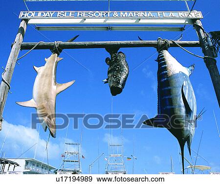 summer, outdoors, sky, resort, sign, fish View Large Photo Image Stock Photo - summer, outdoors, sky, resort, sign, fish. Fotosearch