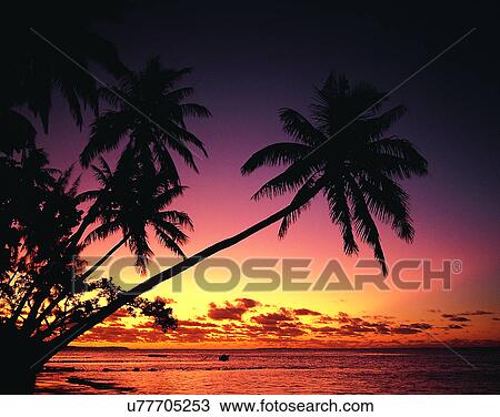 summer, outdoors, sky, sunset, trees, water View Large Photo Image Stock Image - summer, outdoors, sky, sunset, trees, water. Fotosearch