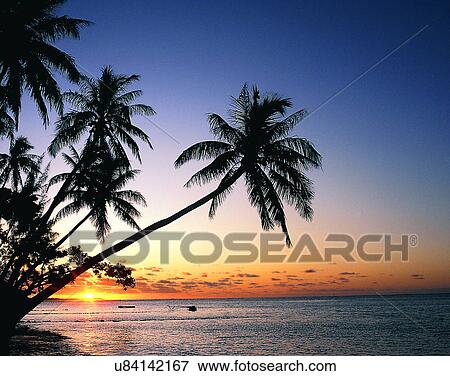 Stock Photo - summer, outdoors, sky, sunset, trees, water. Fotosearch