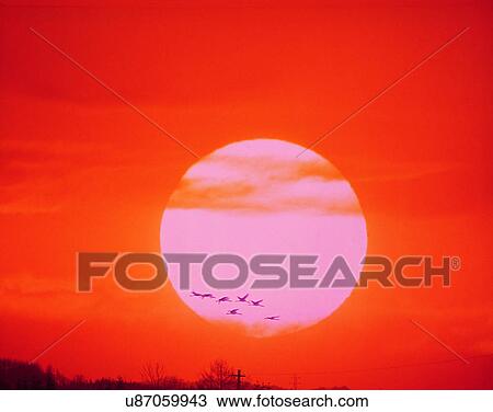 sun light, sun, sky, clouds, outdoors, sunset View Large Photo Image Stock Image - sun light, sun, sky, clouds, outdoors, sunset. Fotosearch