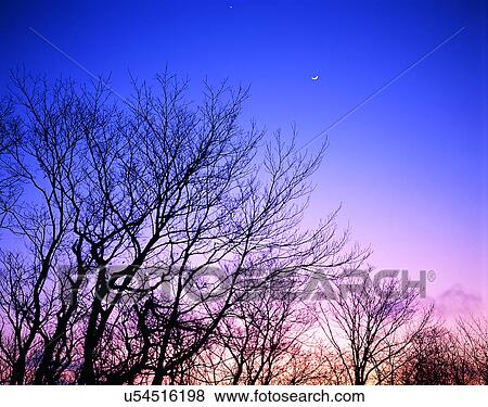 sun light, sun, sky, clouds, outdoors, trees View Large Photo Image Stock Photo - sun light, sun, sky, clouds, outdoors, trees. Fotosearch