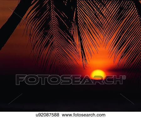 Stock Photo - sun light, sun, sky, clouds, outdoors, sunset. Fotosearch