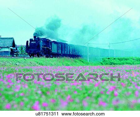 train, travel, transportation, outdoors, daylight, fields View Large Photo Image Stock Image - train, travel, transportation, outdoors, daylight, fields. Fotosearch