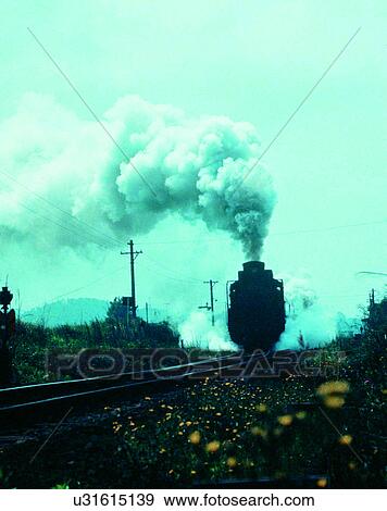 train, travel, transportation, outdoors, daylight, fields View Large Photo Image Stock Photo - train, travel, transportation, outdoors, daylight, fields. Fotosearch