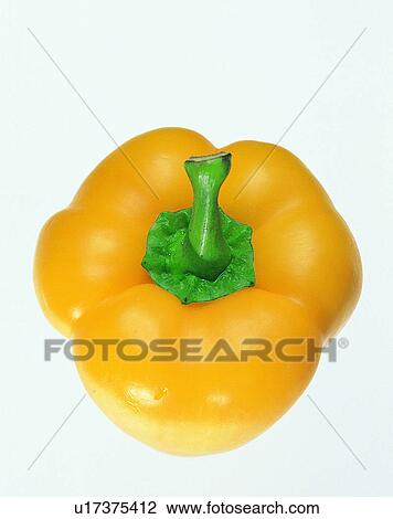 Stock Image - Vegetables, foods, fresh, nature, color pepper, close-up. Fotosearch