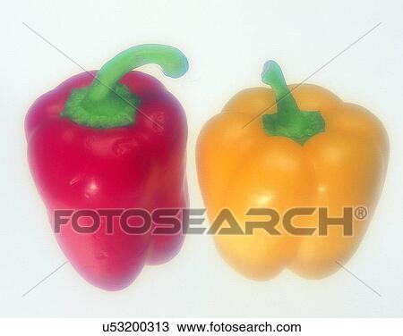 Vegetables, foods, fresh, nature, color peppers View Large Photo Image Stock Image - Vegetables, foods, fresh, nature, color peppers. Fotosearch