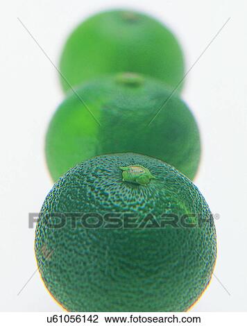 Vegetables, foods, fresh, nature, line up, lemons View Large Photo Image Stock Image - Vegetables, foods, fresh, nature, line up, lemons. Fotosearch