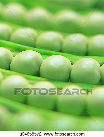 Stock Image - Vegetables, foods, fresh, nature, peas, close-up. Fotosearch
