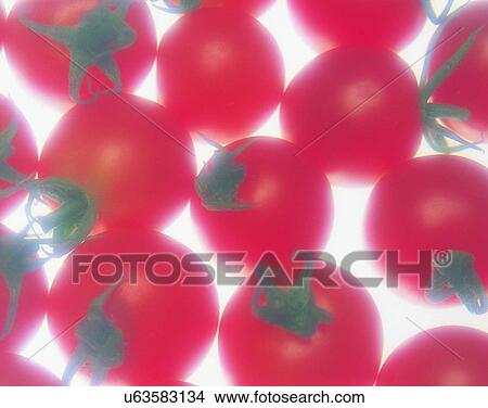 Picture - Vegetables, foods, fresh, nature, tomatoes, bunch. Fotosearch