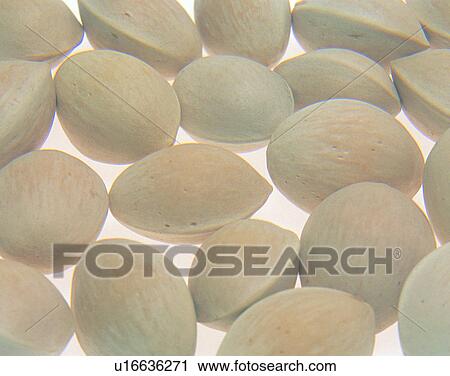 Stock Image - Vegetables, foods, fresh, nature, pile, almonds. Fotosearch
