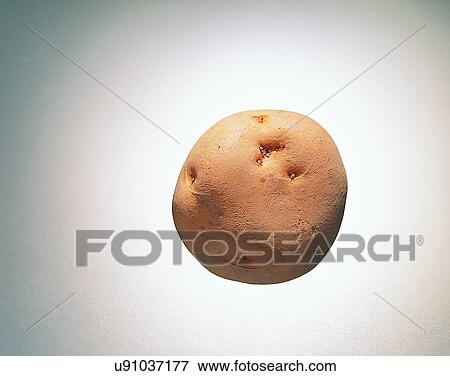 Vegetables, foods, fresh, nature, potato View Large Photo Image Stock Photo - Vegetables, foods, fresh, nature, potato. Fotosearch