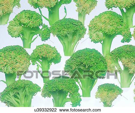 Vegetables, foods, fresh, nature, bunch, broccolis View Large Photo Image Stock Image - Vegetables, foods, fresh, nature, bunch, broccolis. Fotosearch