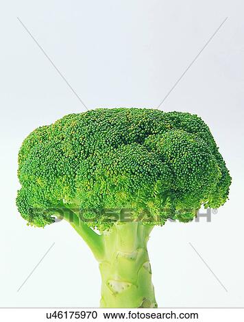 Stock Image - Vegetables, foods, fresh, nature, broccoli. Fotosearch