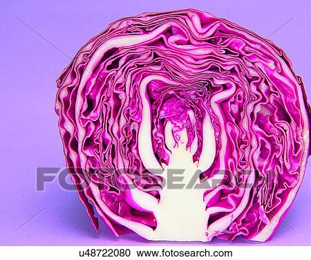 Vegetables, foods, fresh, nature, section, cabbages View Large Photo Image Stock Image - Vegetables, foods, fresh, nature, section, cabbages. Fotosearch