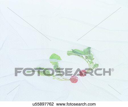 Vegetables, foods, fresh, nature, radishes, leaves View Large Photo Image Stock Image - Vegetables, foods, fresh, nature, radishes, leaves. Fotosearch