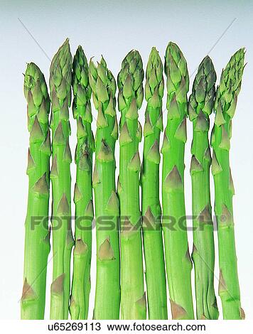 Vegetables, foods, fresh, nature, asparagus tips View Large Photo Image Stock Image - Vegetables, foods, fresh, nature, asparagus tips. Fotosearch