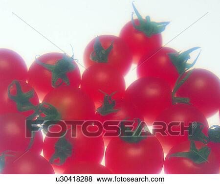 Stock Photo - Vegetables, foods, fresh, nature, bunch, tomatoes. Fotosearch