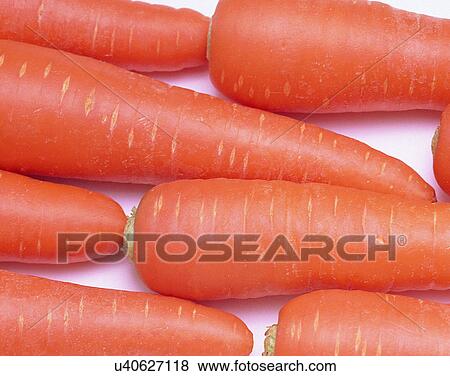Vegetables, foods, fresh, nature, bunch, carrots View Large Photo Image Stock Photo - Vegetables, foods, fresh, nature, bunch, carrots. Fotosearch