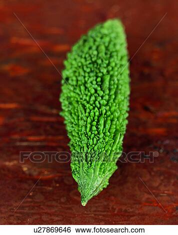 Vegetables, foods, fresh, nature, bitter-melon View Large Photo Image Stock Photograph - Vegetables, foods, fresh, nature, bitter-melon. Fotosearch